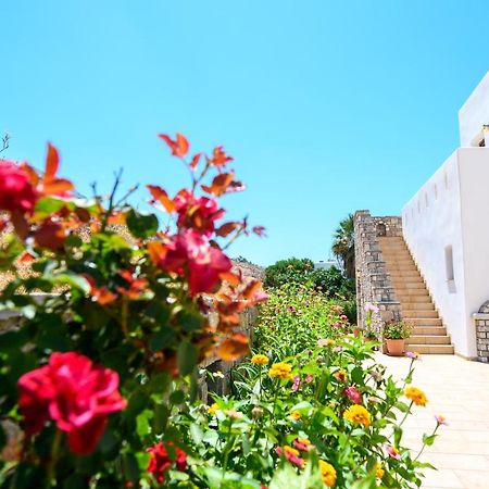 Villa Andromeda Amorgos Luaran gambar